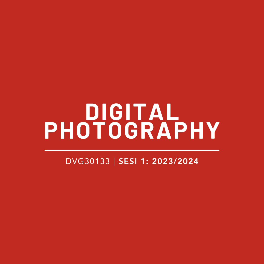 DVG10252 DIGITAL PHOTOGRAPHY